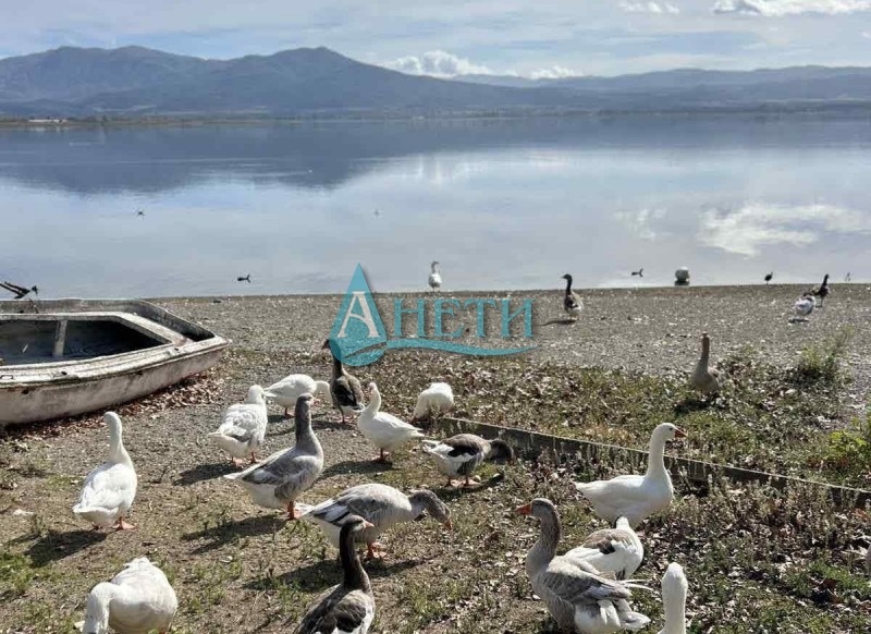 ������� ������ | Imot.bg � ����������� 8