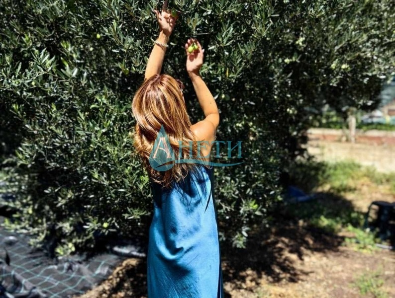 ������� ������ | Imot.bg � ����������� 9