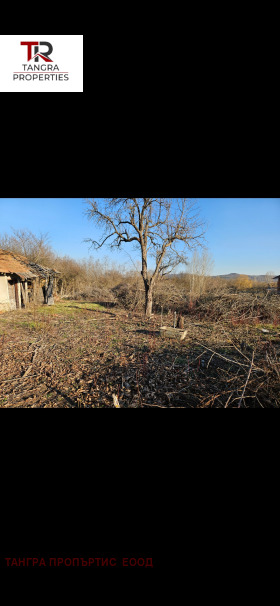 Hus Klenovik, region Pernik 5