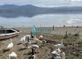 ������� ������ | Imot.bg � ����� ������ 8