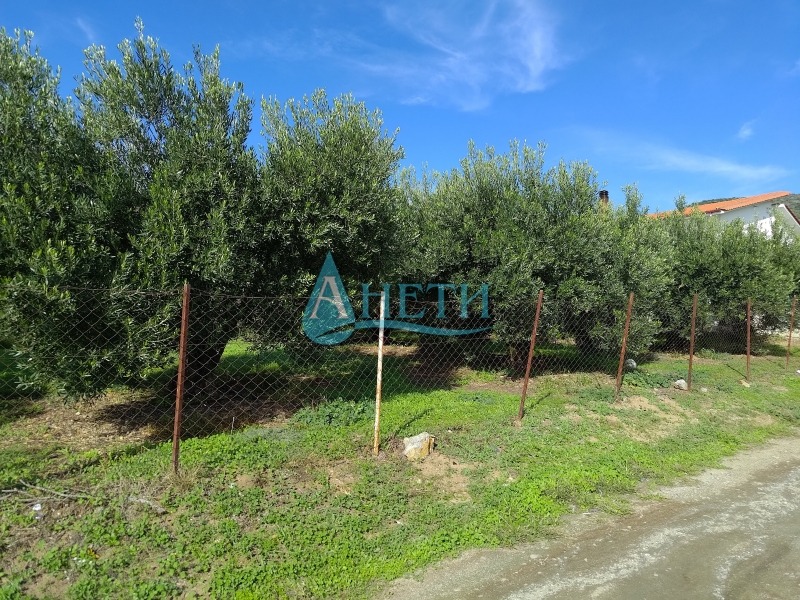 Продава ПАРЦЕЛ, Извън страната, област Извън страната, снимка 4 - Парцели - 53003742