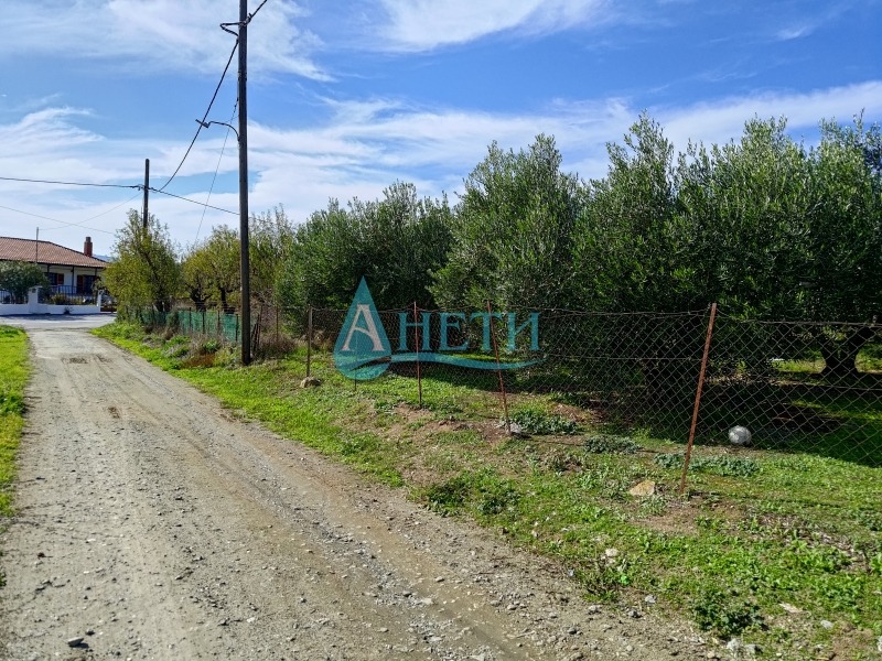 Продава ПАРЦЕЛ, Извън страната, област Извън страната, снимка 2 - Парцели - 53003742