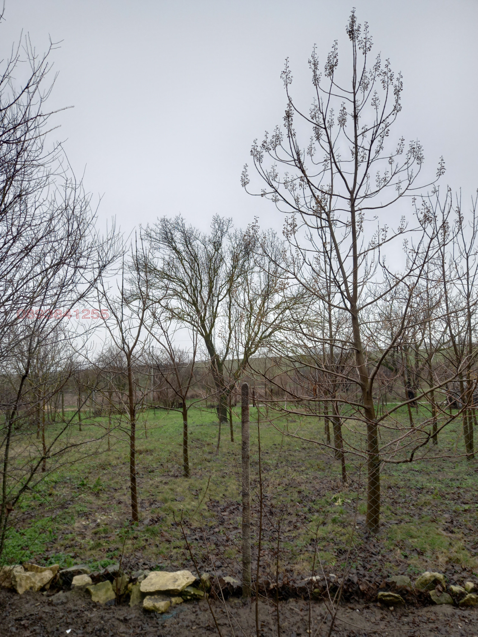 ������� ������ | Imot.bg � ����������� 2