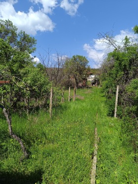 Trama m-t Besh Bunar, Stara Zagora 7