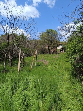 Trama m-t Besh Bunar, Stara Zagora 9