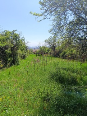 Trama m-t Besh Bunar, Stara Zagora 1