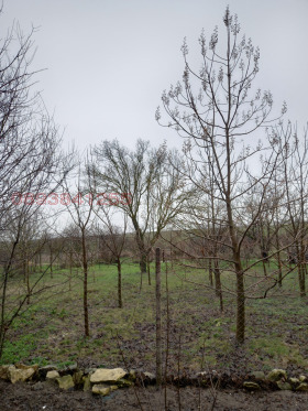 ������� ������ | Imot.bg � ����� ������ 2