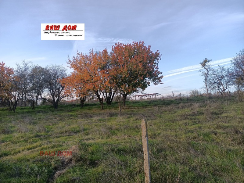 For Sale  Plot region Varna , Oreshak , 5000 sq.m | 61037159 - image [2]