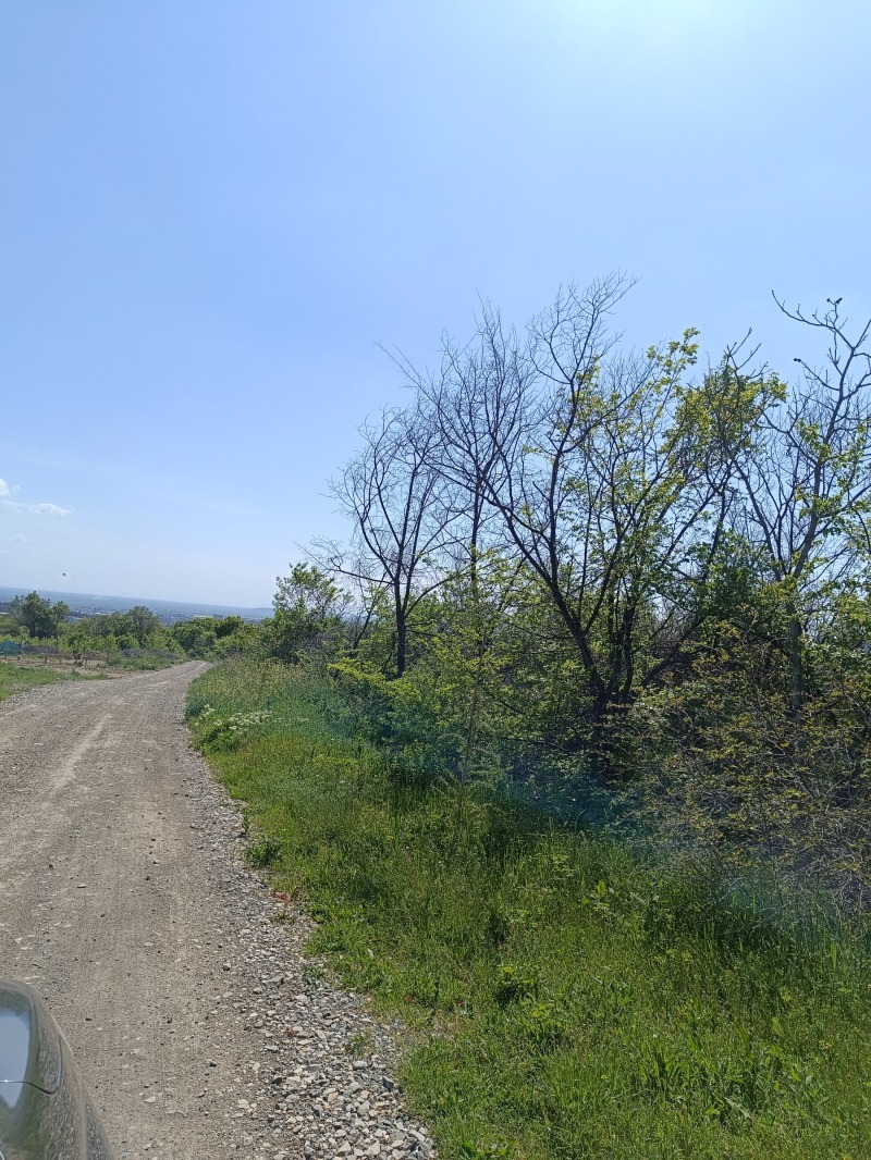 En venta  Trama Stara Zagora , m-t Besh Bunar , 1007 metros cuadrados | 91509580 - imagen [17]