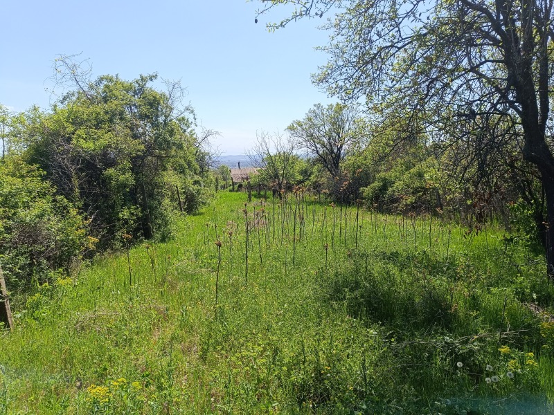 En venta  Trama Stara Zagora , m-t Besh Bunar , 1007 metros cuadrados | 91509580 - imagen [2]