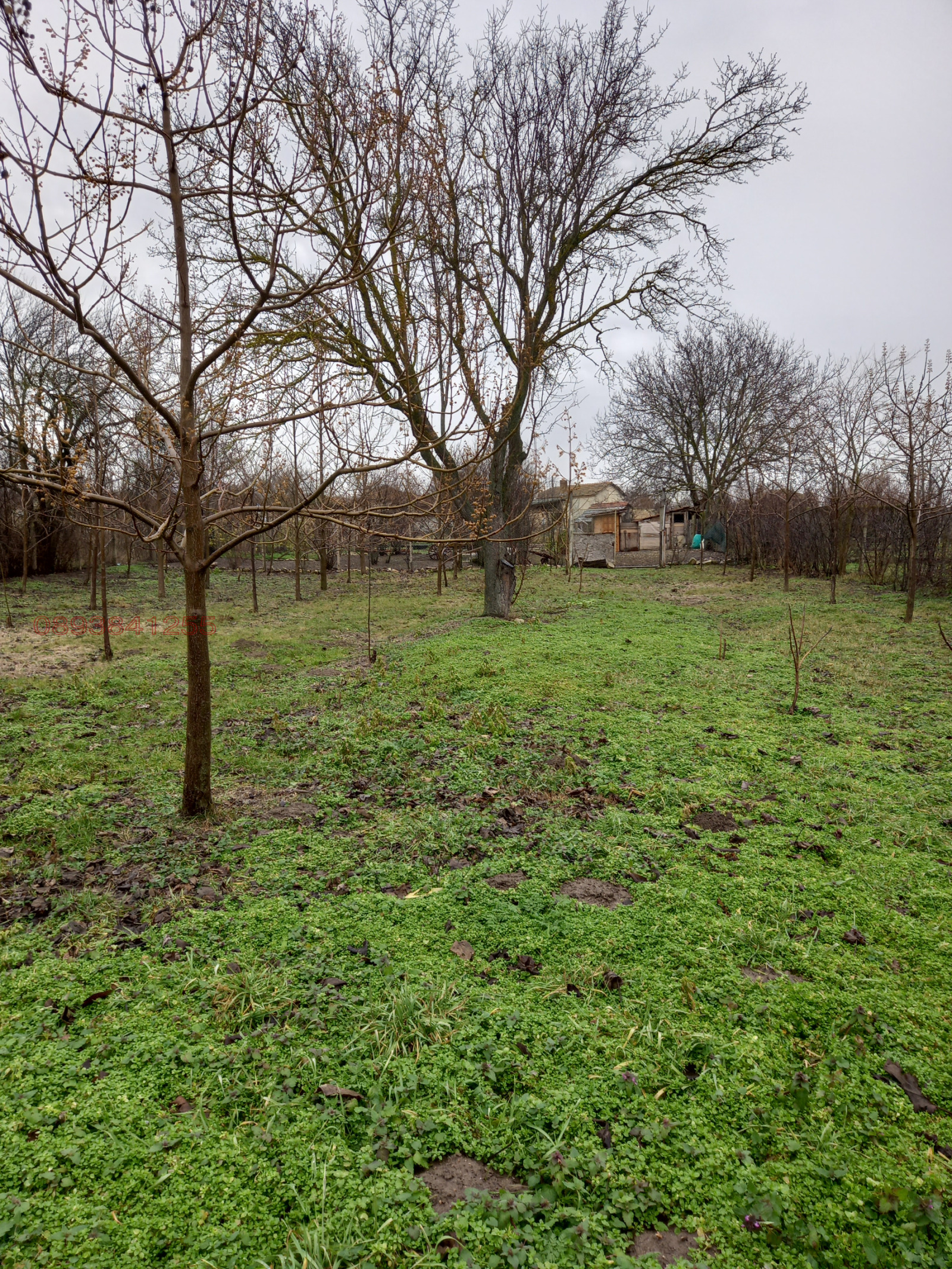 Продава ПАРЦЕЛ, с. Манастир, област Варна, снимка 4 - Парцели - 53987651