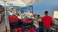 Продава ПРОМ. ПОМЕЩЕНИЕ, с. Искра, област Пловдив, снимка 14