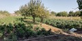 Продава ПАРЦЕЛ, гр. Шабла, област Добрич, снимка 1