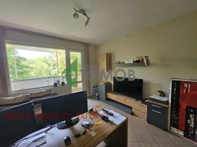 ����� ������� ����,���� ����� ������, ����������