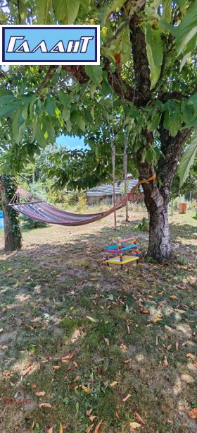 ������� ���� | Imot.bg � ����� ������ 10