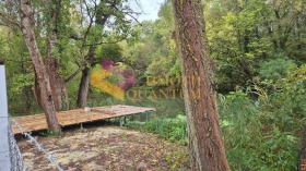 Плот к.к. Камчија, регион Варна