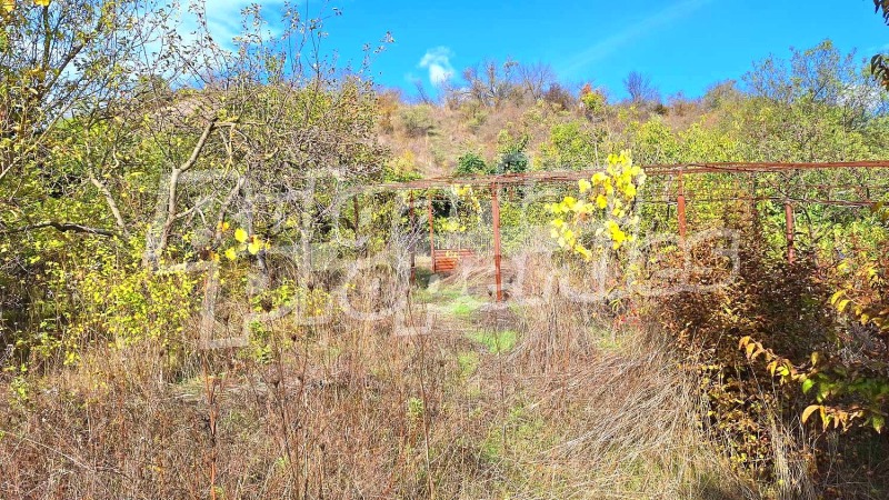 Til salgs  Villa region Varna , Kalimantsi , 25 kvm | 55456610 - bilde [14]