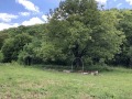 Продава КЪЩА, гр. Ябланица, област Ловеч, снимка 2