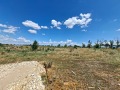 Продава ПАРЦЕЛ, с. Труд, област Пловдив, снимка 5