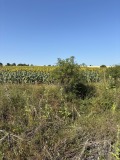 Продава ПАРЦЕЛ, област София, с. Алдомировци • 78000 € • 71309250 — Holmes.bg