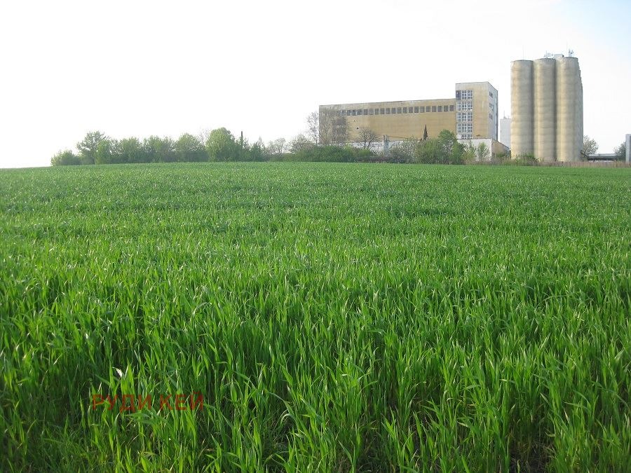 Продава ПАРЦЕЛ, гр. Варна, Западна промишлена зона, снимка 6 - Парцели - 54555821