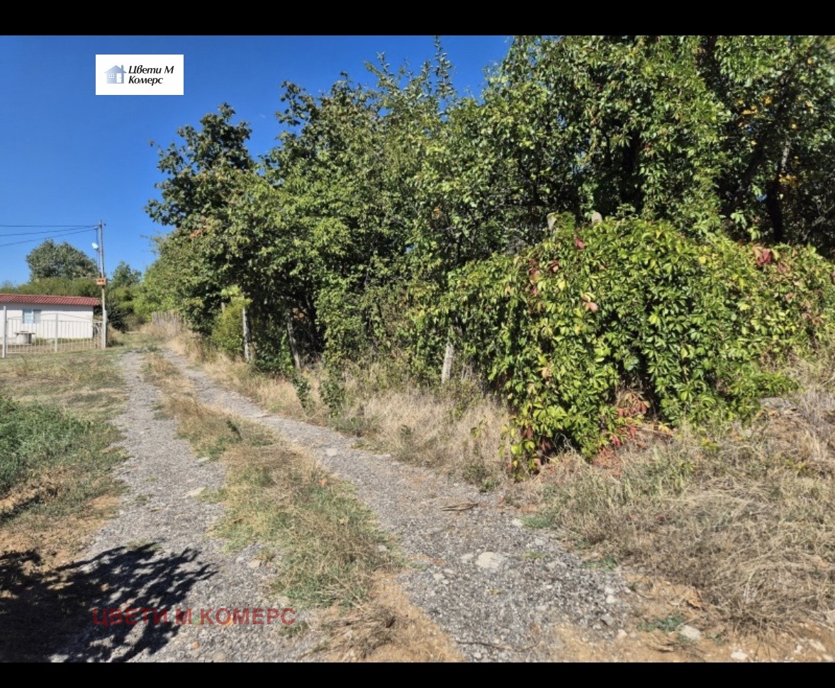 ������� ���� | Imot.bg � ����������� 6