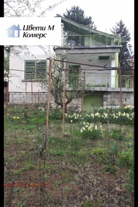 ������ ������� ����