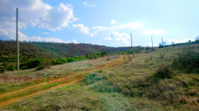 Grund Parvenets, region Plovdiv 4