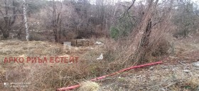 ������� ������ | Imot.bg � ����� ������ 3