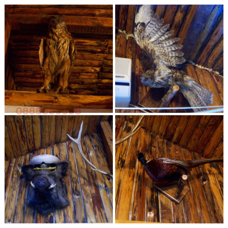 Продава ВИЛА, с. Бежаново, област Ловеч, снимка 6 - Вили - 52779824