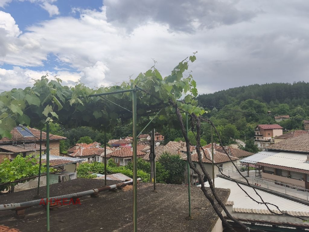 Продава КЪЩА, с. Габровица, област Пазарджик, снимка 3 - Къщи - 54937615
