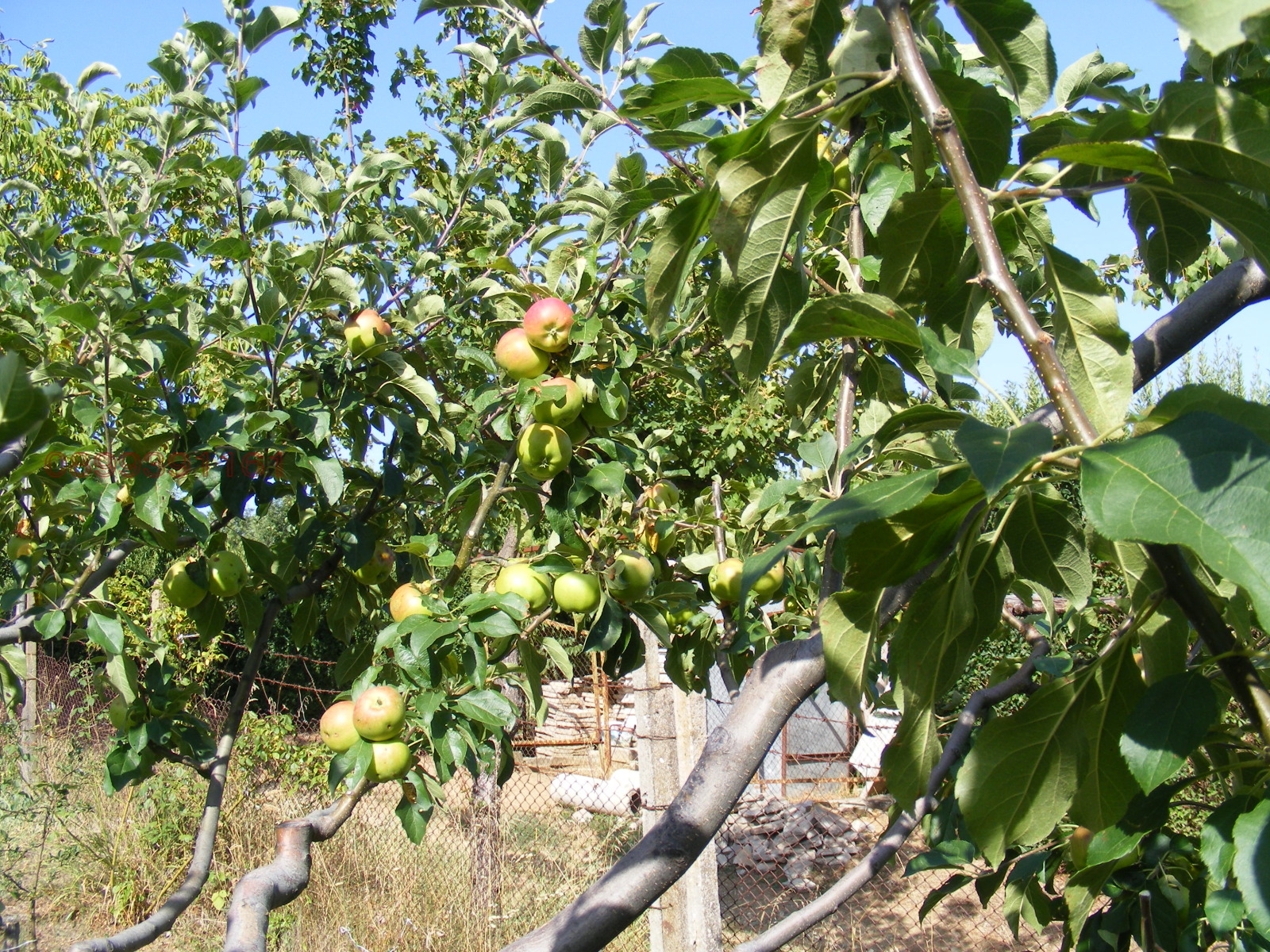 Продава ВИЛА, гр. Берковица, област Монтана, снимка 8 - Вили - 55545137