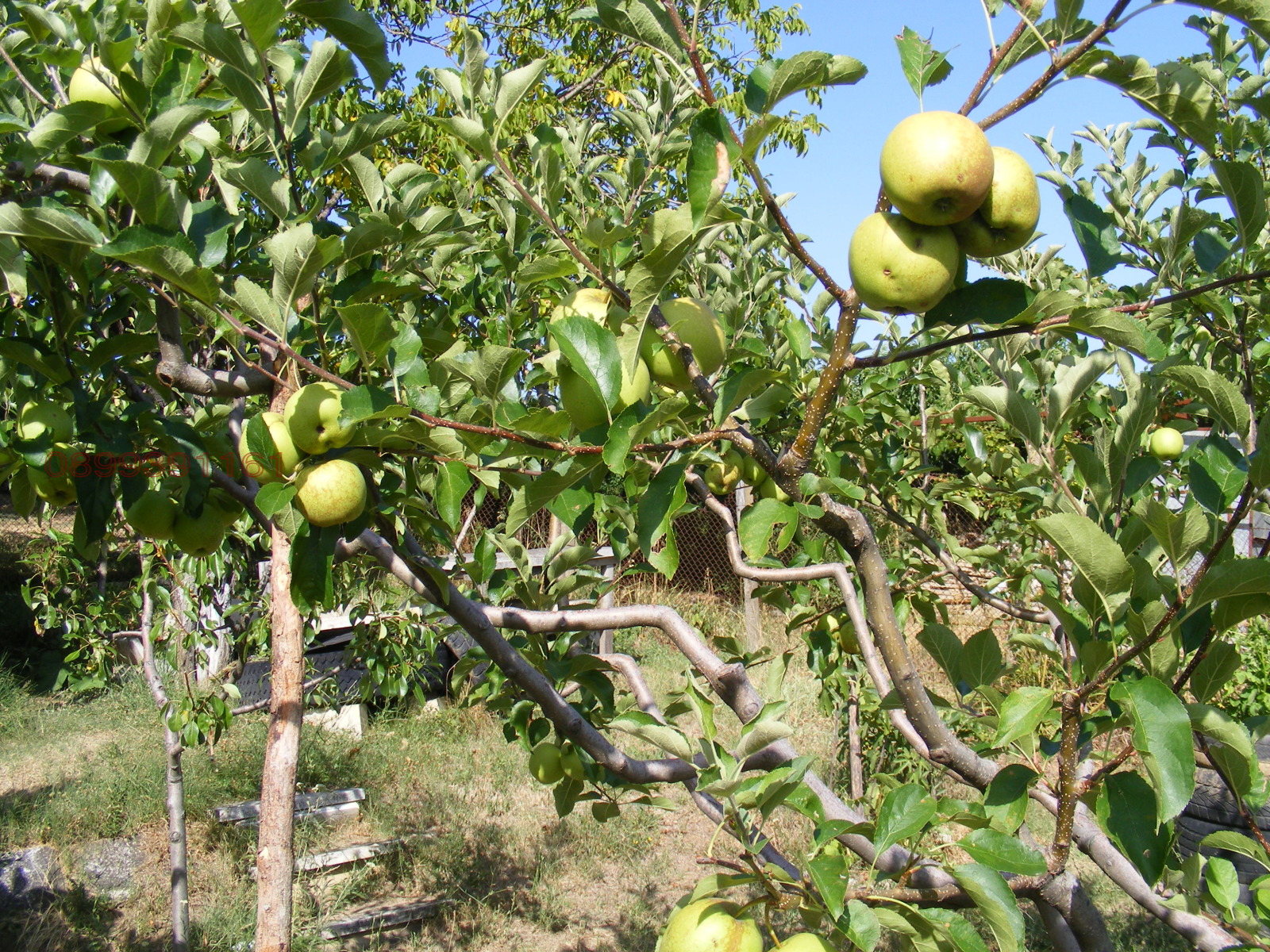 Продава ВИЛА, гр. Берковица, област Монтана, снимка 5 - Вили - 55545137