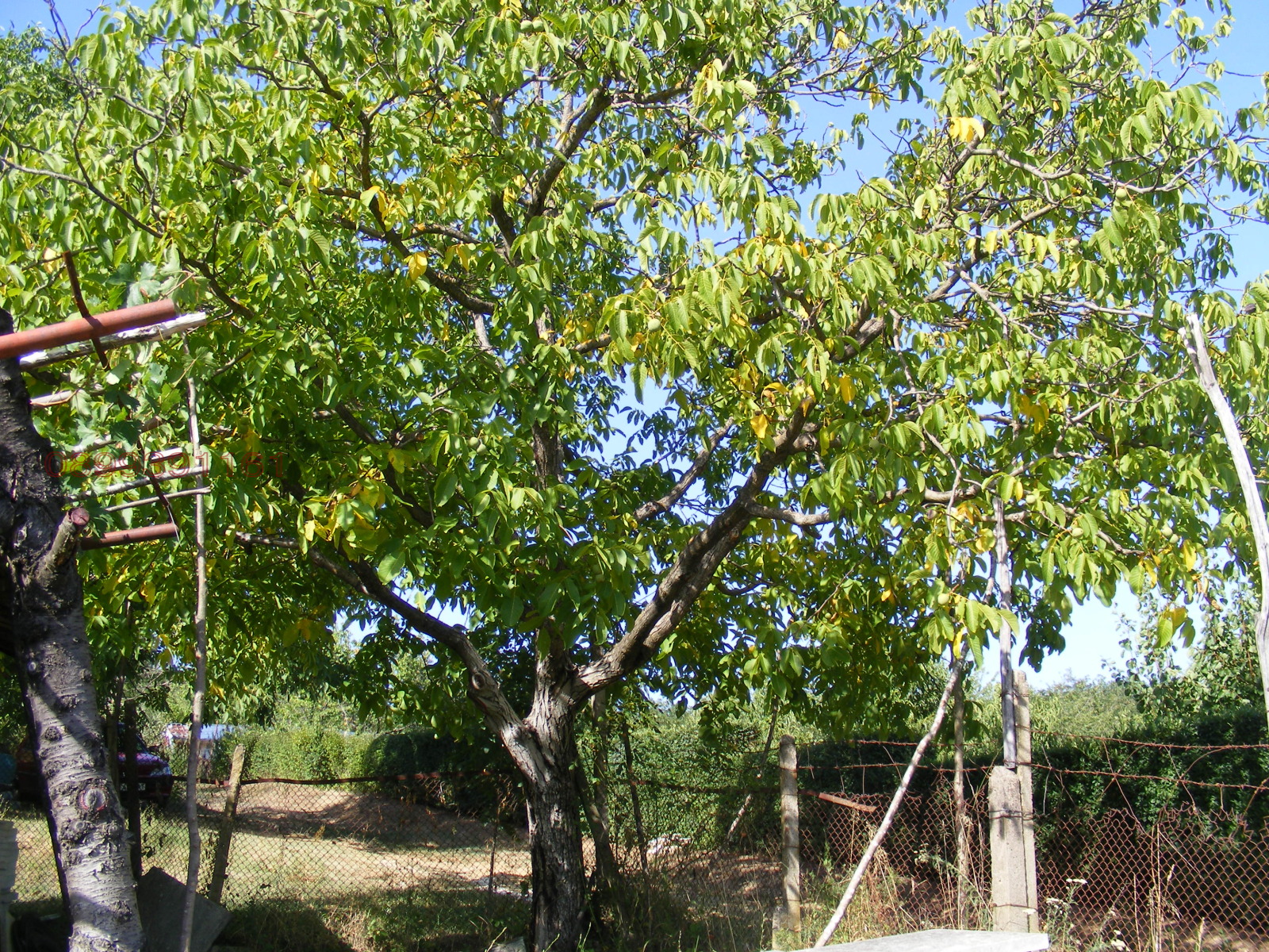 Продава ВИЛА, гр. Берковица, област Монтана, снимка 2 - Вили - 55545137