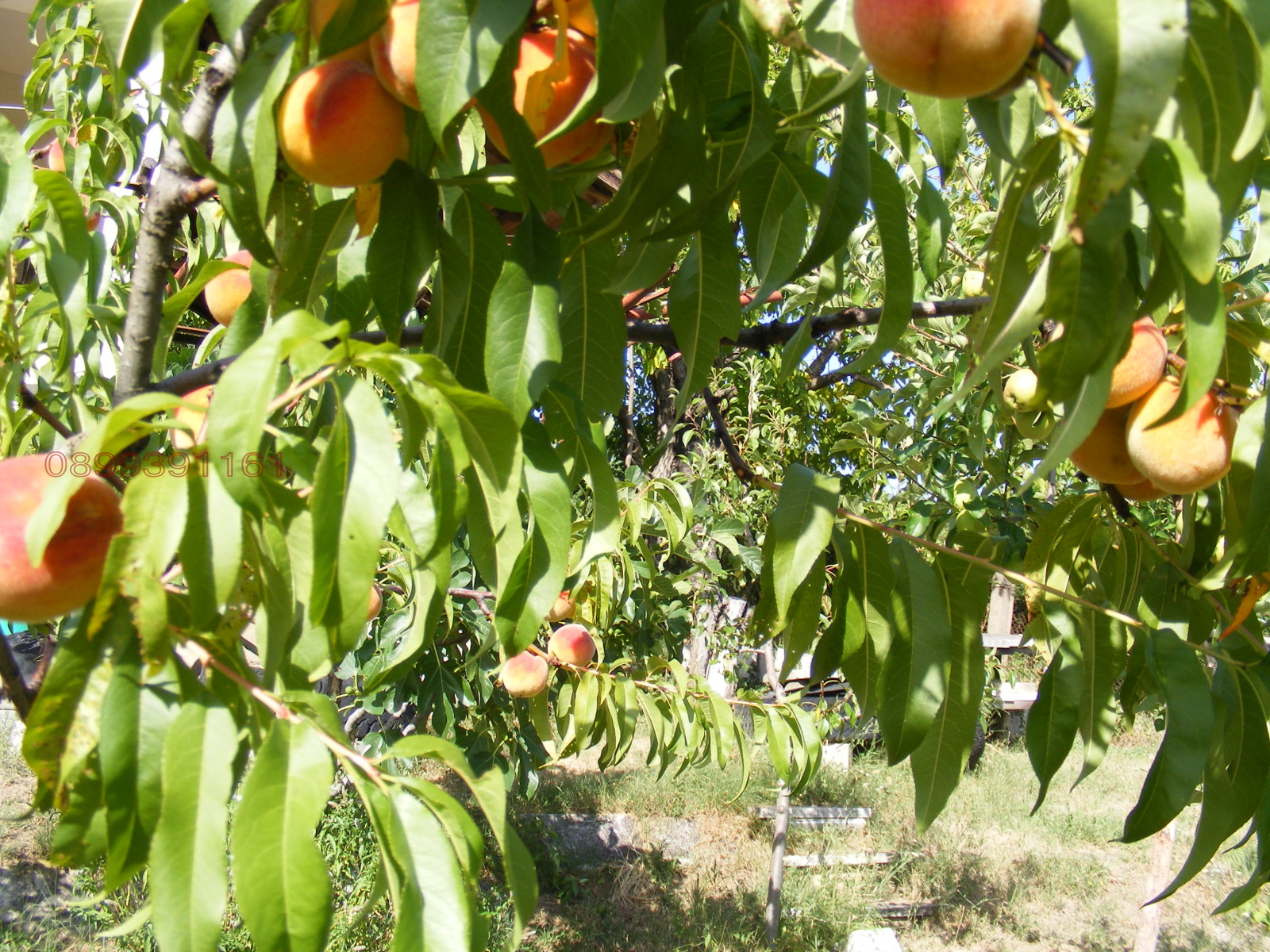 Продава ВИЛА, гр. Берковица, област Монтана, снимка 14 - Вили - 55545137