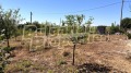 Продава  Къща област Бургас , с. Искра , 120 кв.м | 64324790