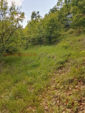 ������� ������ | Imot.bg � ����� ������ 5