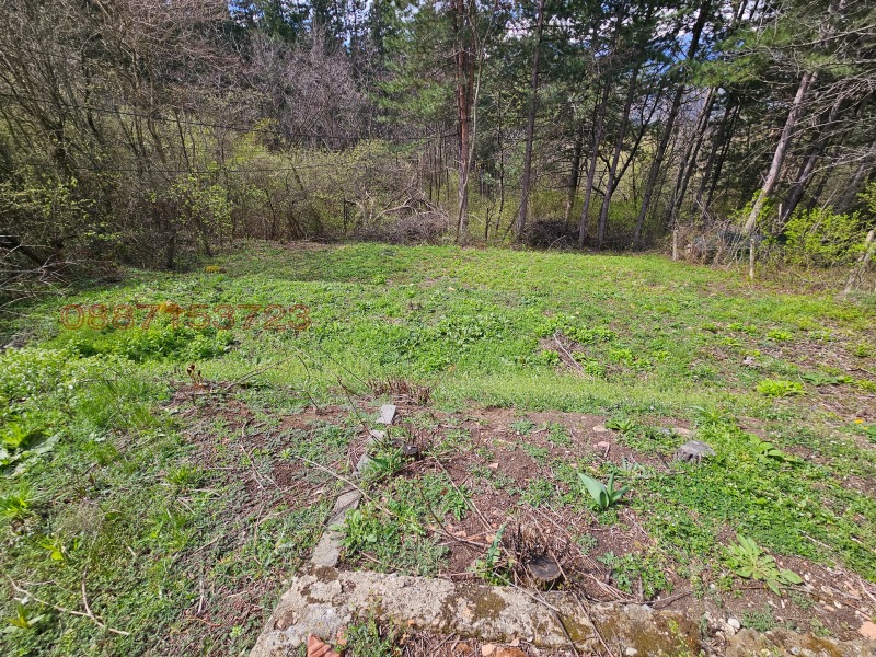 À venda  Trama Sofia , German , 505 m² | 96356906 - imagem [10]