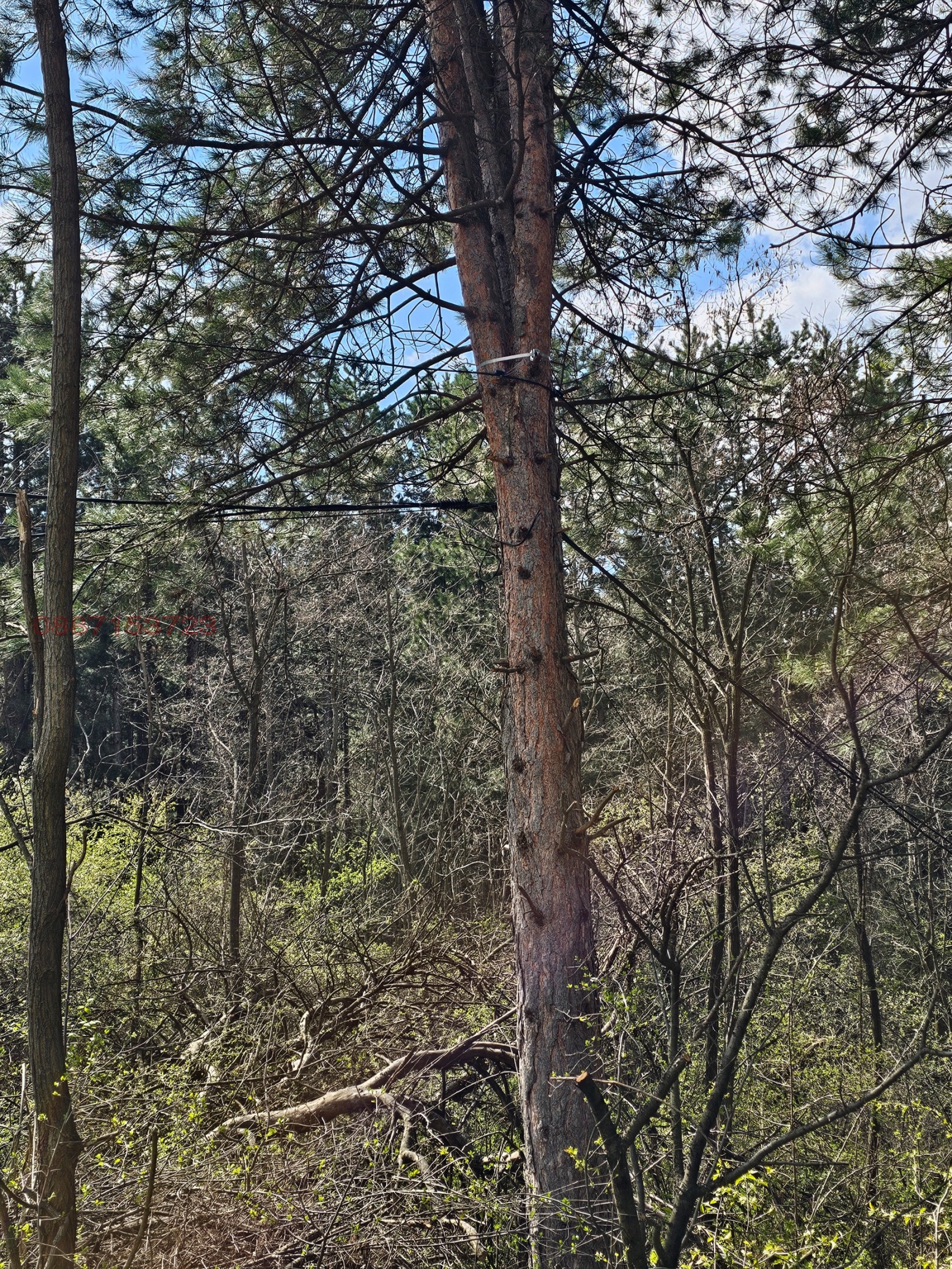 Продава ПАРЦЕЛ, гр. София, с. Герман, снимка 15 - Парцели - 53807137