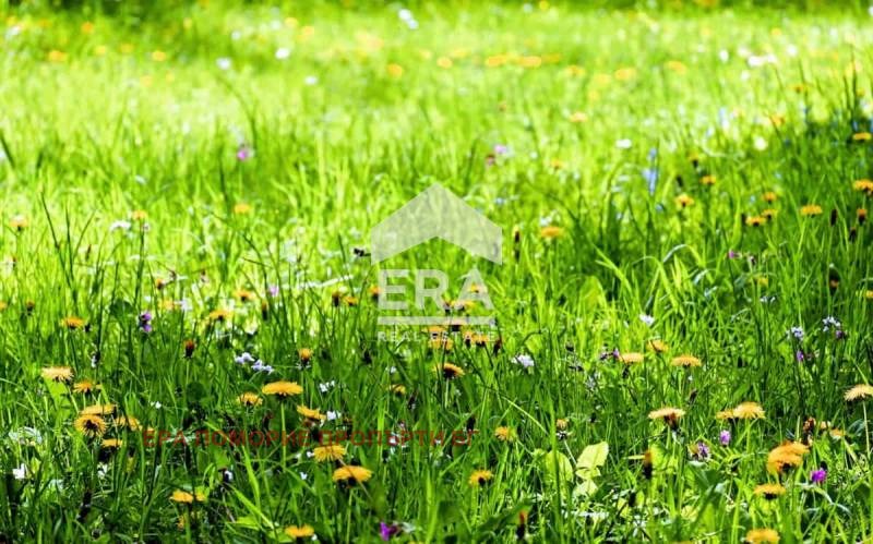 ������� ������ | Imot.bg � ����������� 1