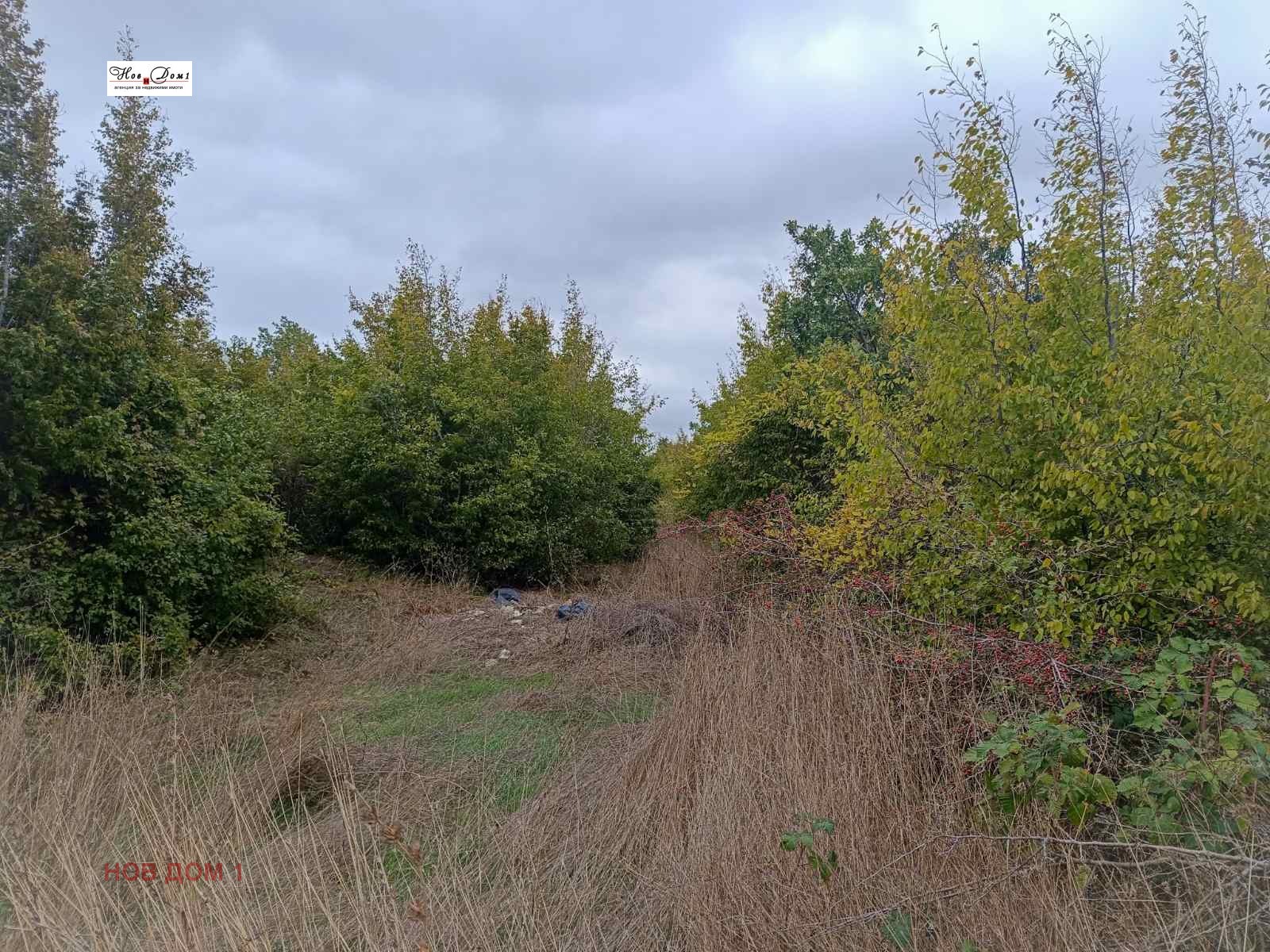 Продава ПАРЦЕЛ | Imot.bg — изображение 1