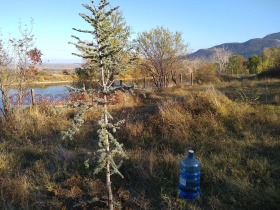 Plot Kuklen, region Plovdiv 1