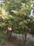 Продава  2-стаен град София , Център , 65 кв.м | 62774224