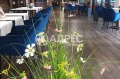 Продава ЗАВЕДЕНИЕ, област Хасково, гр. Димитровград • 1200000 € • 18862460 — Holmes.bg