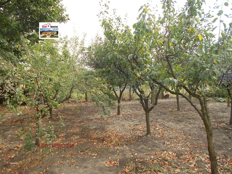 Продава КЪЩА, с. Преспа, област Добрич, снимка 12 - Къщи - 52123044