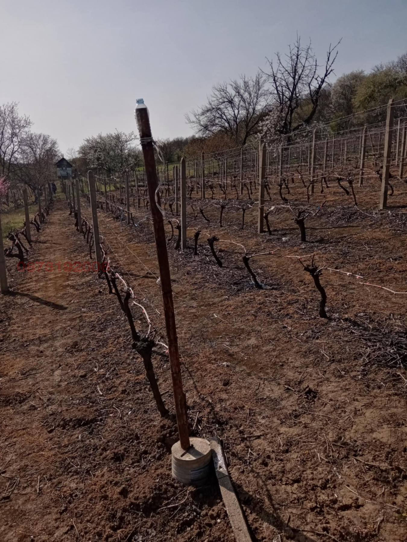 Продава ВИЛА, гр. Силистра, Юг, снимка 13 - Вили - 54242682