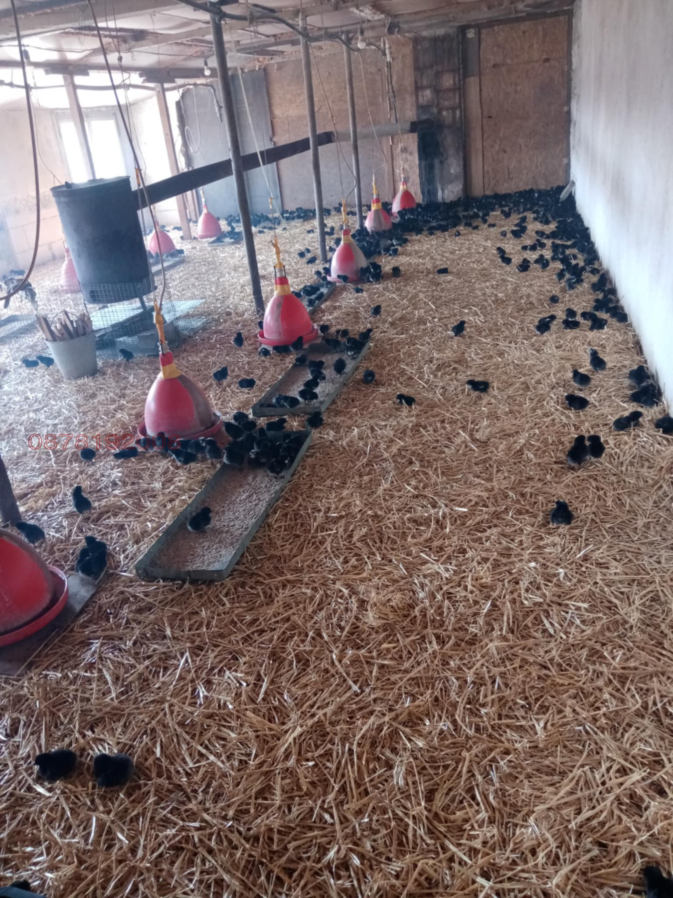 Продава ВИЛА, гр. Силистра, Юг, снимка 15 - Вили - 54242682