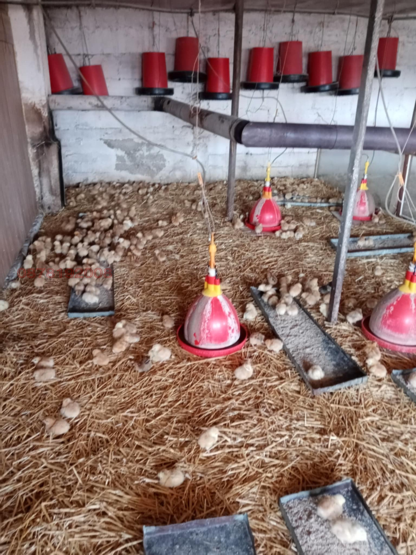 Продава ВИЛА, гр. Силистра, Юг, снимка 12 - Вили - 54242682