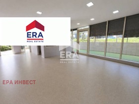 ������ ������� ����