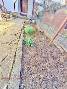 ����� ������� ����,���� ������, ��������� �����